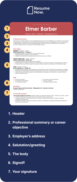 resume format examples resume format examples