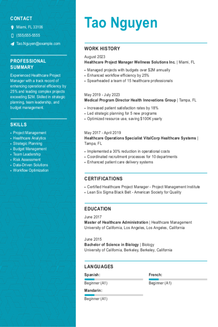 Healthcare Project Manager Resume Example Healthcare Project Manager Resume Example