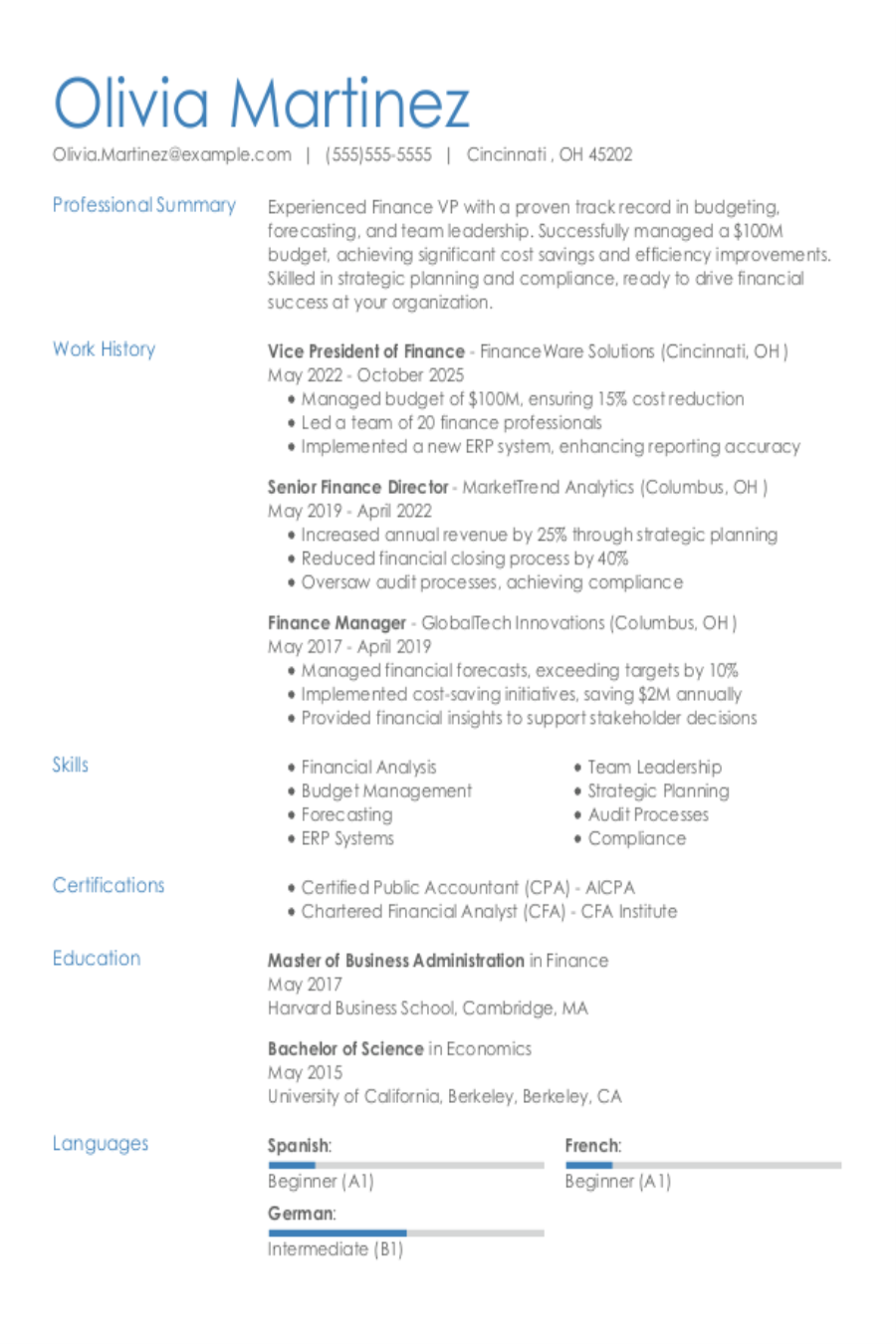 Vice President of Finance Resume Example Vice President of Finance Resume Example