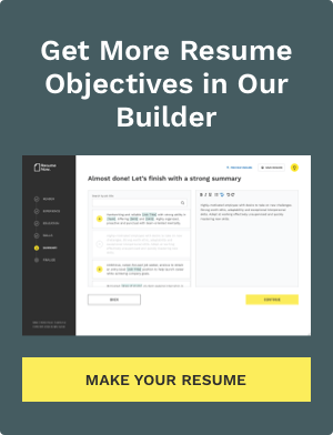 Resume Objective Examples: Career Statements For All Jobs